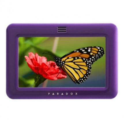 Paradox FPLATE_violet