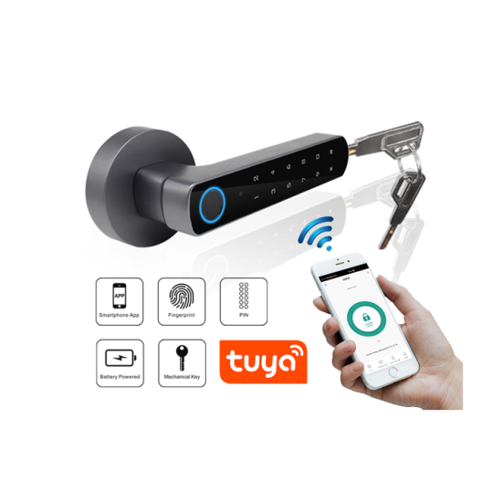 Secukey D100-BT(Grey)