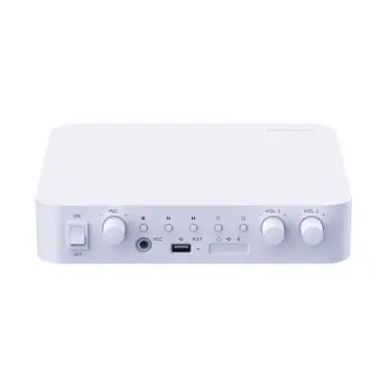 Професионален Мрежов Усилвател Hikvision DS-QAE1A40G1-VB за Публична Адресация